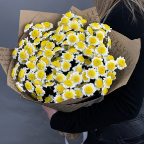 Букет "Моё солнышко" из 11 хризантем сантини  в Реутове