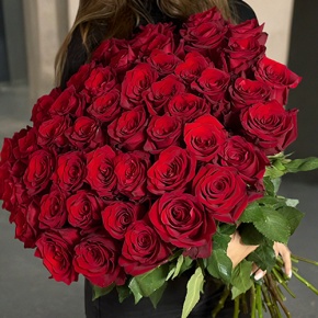 Букет 51 роза Эквадор Эксплорер (70 см) в Реутове