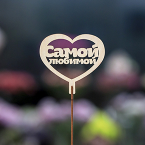 Топпер Самой Любимой в Реутове
