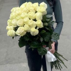 Монобукет из 25 роз Эквадор Мондиаль (80 см) в Реутове