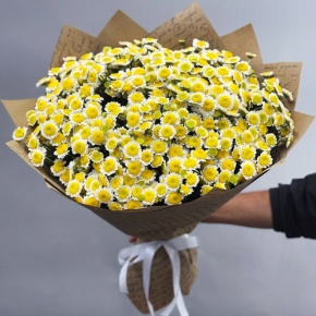 Букет "Моё солнышко" из 31 хризантемы сантини  в Реутове