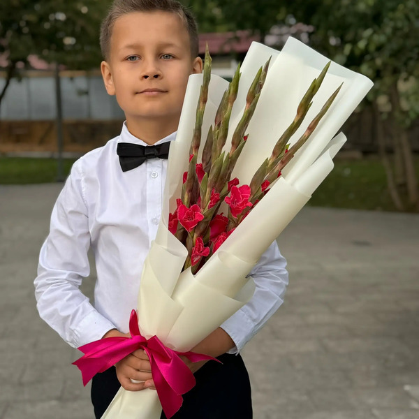 Букет на 1 сентября из 7 малиновых гладиолусов в Реутове