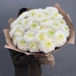 Букет из 27 хризантем Магнум в Реутове