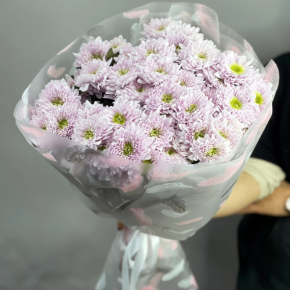 Букет "Нежный комплимент" из 9 кустовых хризантем в Реутове