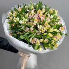 Букет "Зарина" из 37 альстромерий микс в Реутове