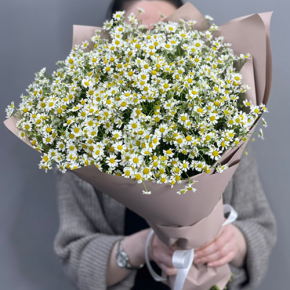 Букет из 17 полевых ромашек в Реутове