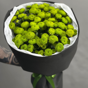 Стильный букет "Лайм" из 15 хризантем сантини в Реутове