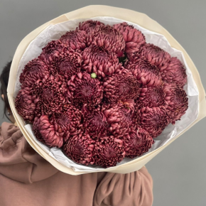 Букет 21 шоколадной хризантемы Бигоуди в Реутове