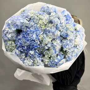 Букет из 23 синих гортензий в Реутове