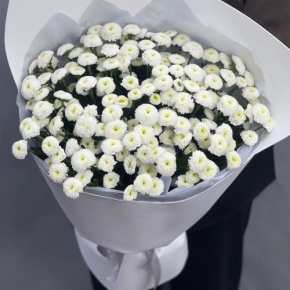 Букет "Белая дымка" из 25 хризантем сантини в Реутове