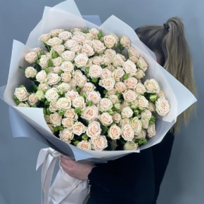 Букет из 25 кремовых кустовых роз (70 см) в Реутове