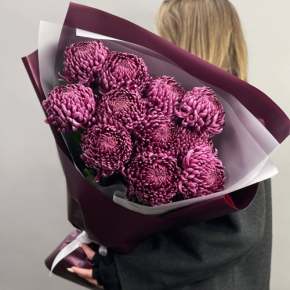 Букет "Изобилие" из 11 винных хризантем Бигоуди в Реутове
