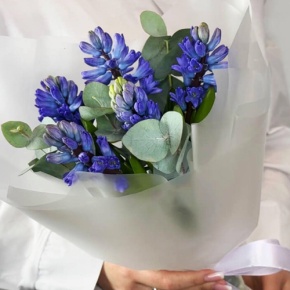 Букет "Мини" из 5 ароматных гиацинтов и эвкалипта в Реутове