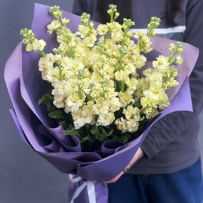 Букет из 15 лимонных маттиол в Реутове