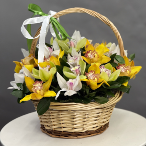Композиция в корзине из 25 орхидей микс в Реутове