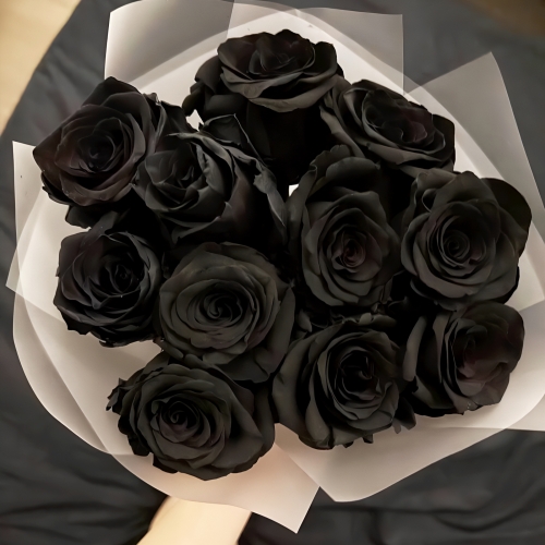 Букет "Черная королева" из 11 черных роз Эквадор (60 см) в Реутове