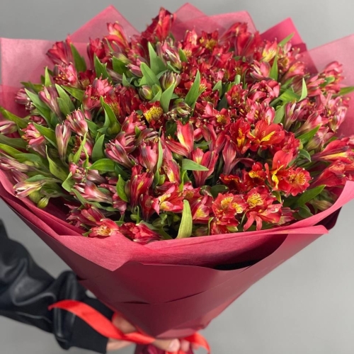 Монобукет из 25 красных альстромерий в Реутове