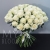 Букет 75 белых роз Эквадор Мондиаль (80 см) в Реутове
