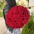 Букет 51 красной розы 50 см в Реутове