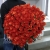 Букет 101 коралловая роза (60 см) в Реутове