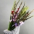 Букет из 25 гладиолусов микс в Реутове