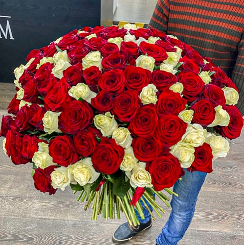 Букет 151 роза красный и белый микс (60 см) в Реутове