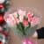 Букет "Фламинго" из 11 пионовидных тюльпанов в Реутове
