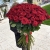 Букет из 101 красной розы (90 см) в Реутове