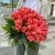 Букет 51 роза коралл (60 см) в Реутове Букет 51 роза коралл (60 см) в Реутове